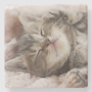 Sleepy Kitten Stone Coaster