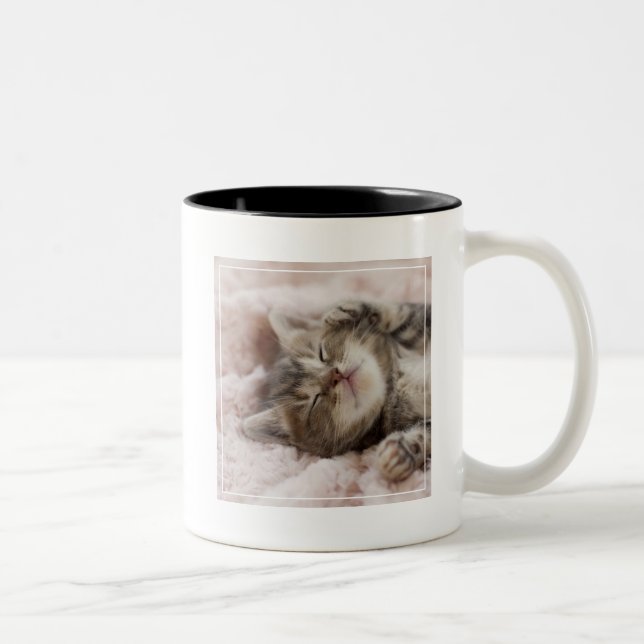 Sleepy Kitten Two-Tone Coffee Mug (Right)