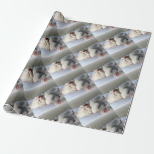 Sleepy Kitten Wrapping Paper