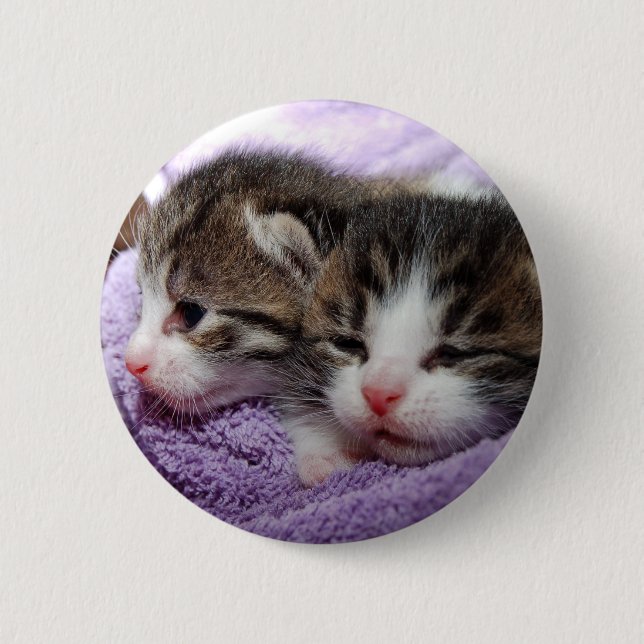 Sleepy kittens 6 cm round badge (Front)