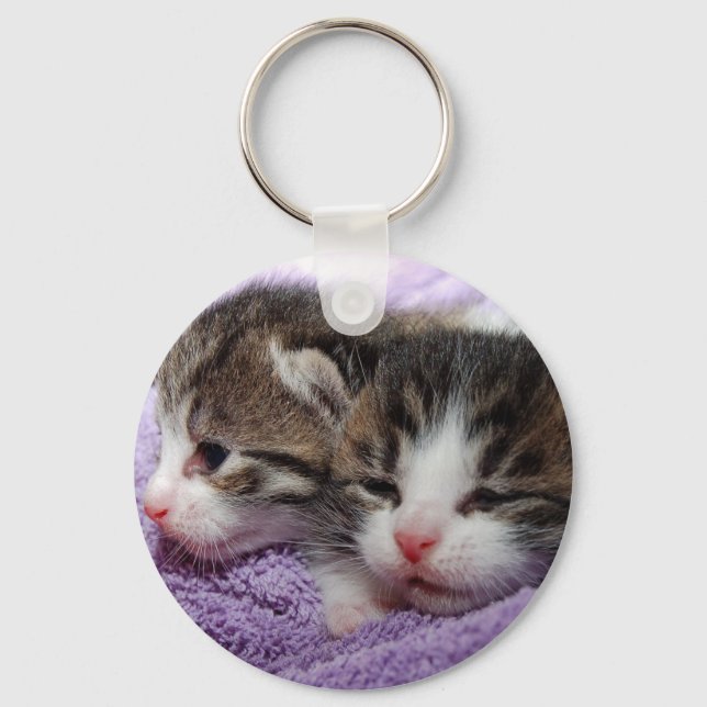 Sleepy kittens key ring (Front)