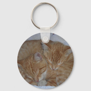 Sleepy kittens key ring