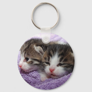 Sleepy kittens key ring
