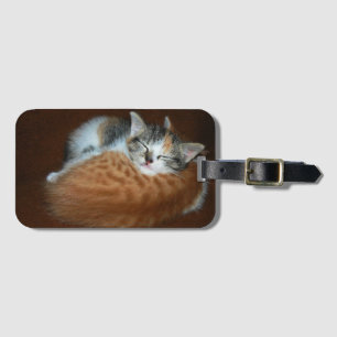 Sleepy kittens luggage tag
