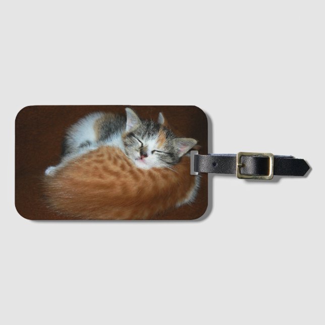 Sleepy kittens luggage tag (Front Horizontal)