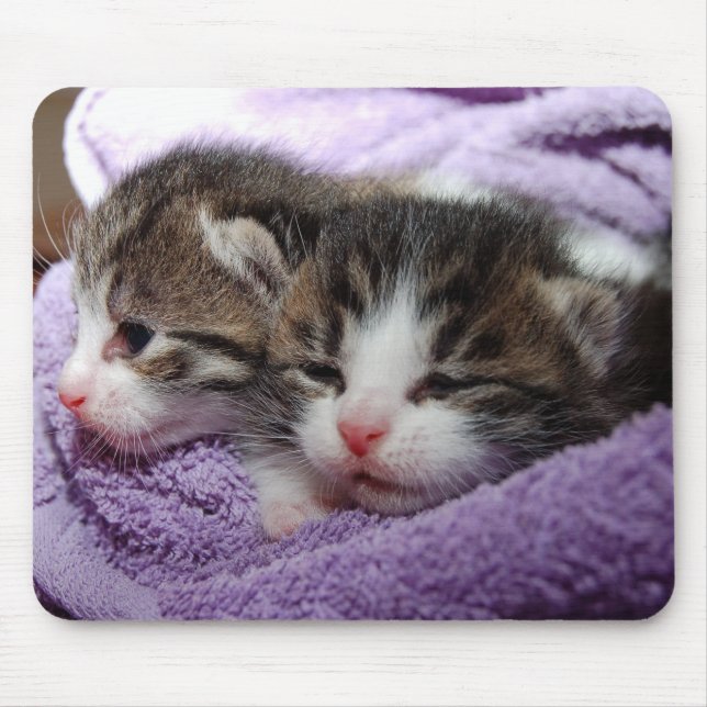 Sleepy kittens mouse pad (Front)