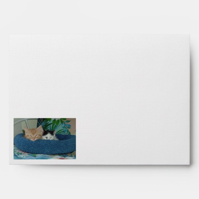 Sleepy Kitties/Orange Tabby Cat Envelopes (Front)