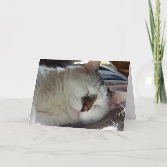 Sleepy kitty Birthday Card (Front)