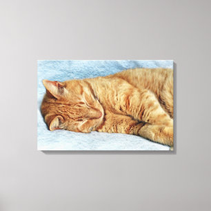 Sleepy Kitty Canvas Print