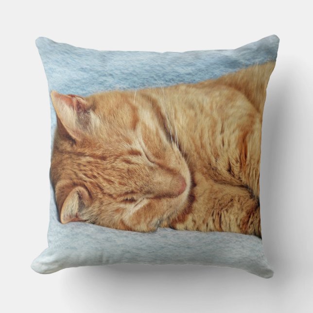 Sleepy Kitty Cushion (Front)