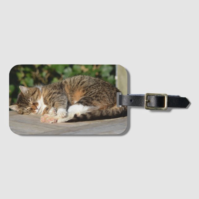 Sleepy kitty luggage tag (Front Horizontal)