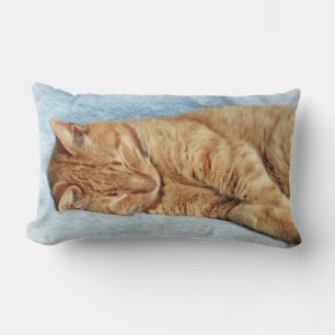 Sleepy Kitty Lumbar Cushion