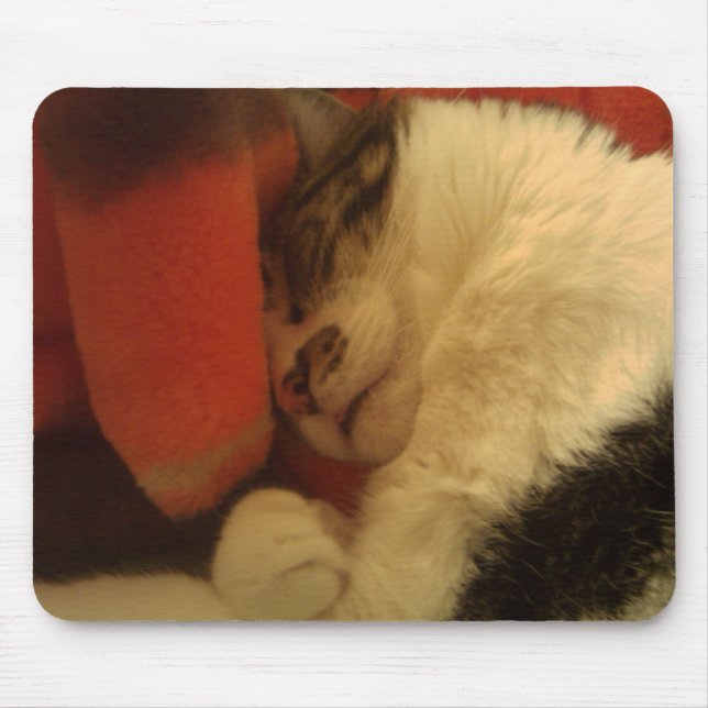 Sleepy Kitty Mouse Pad (Front)