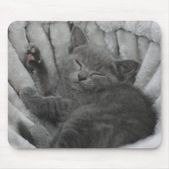 Sleepy kitty mouse pad (Front)