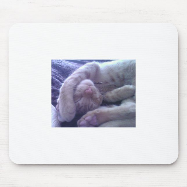 Sleepy Kitty Mouse Pad (Front)