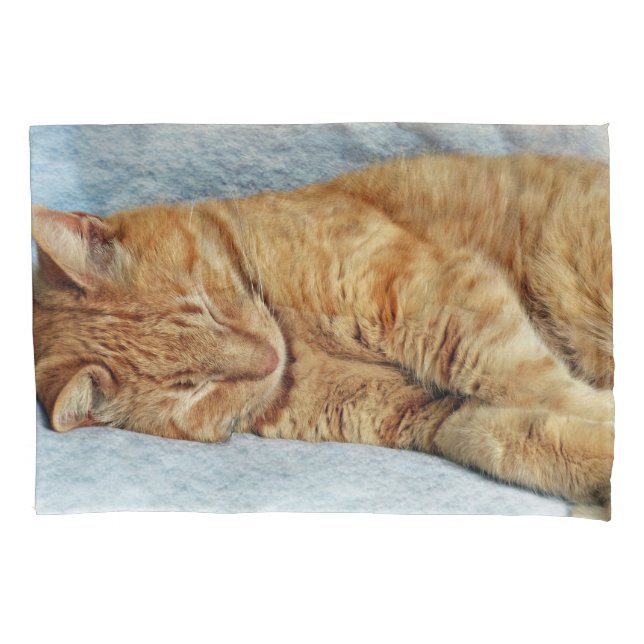Sleepy Kitty Pillowcase (Front)