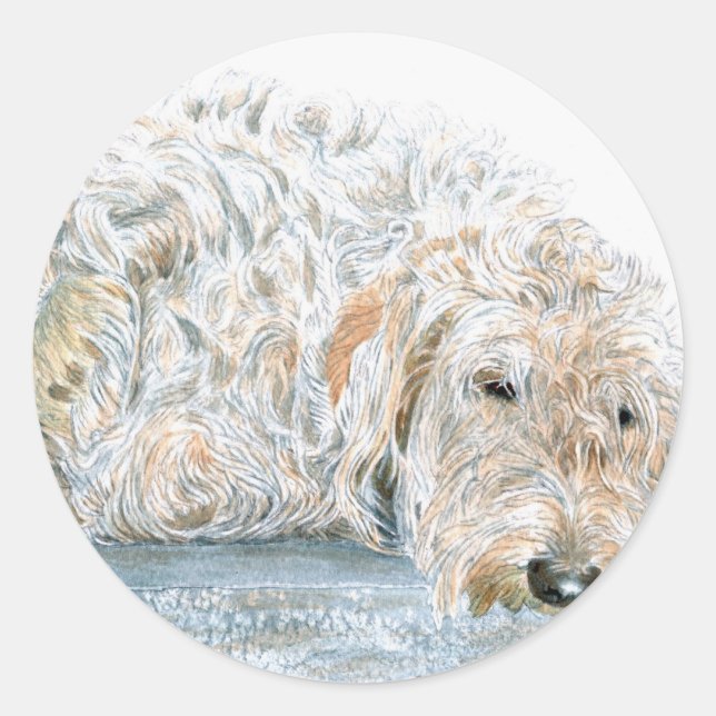 Sleepy Labradoodle Stickers (Front)