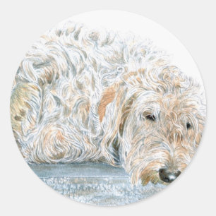 Sleepy Labradoodle Stickers