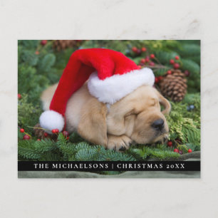 Sleepy Labrador Retriever Puppy With Santa Hat Holiday Postcard