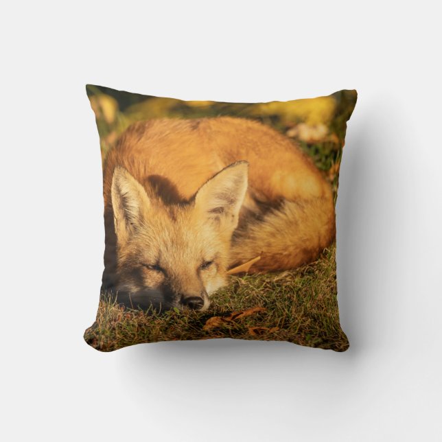 Sleepy Little Fox        Cushion (Front)