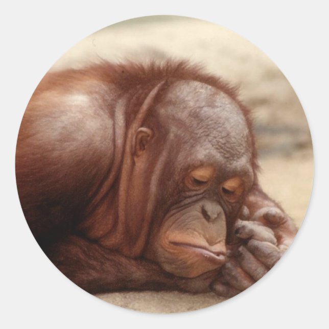 Sleepy Monkey sticker (Front)
