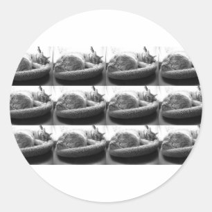 Sleepy Orange Tabby Cat/Black and White Photo Classic Round Sticker