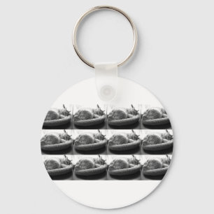 Sleepy Orange Tabby Cat/Black and White Photo Key Ring