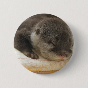 Sleepy Otter 6 Cm Round Badge