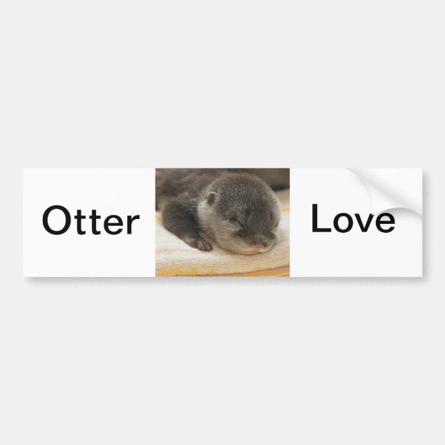Sleepy Otter Bumper Sticker (Front)