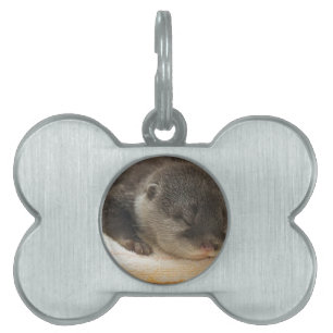 Sleepy Otter Pet Tag