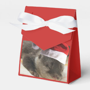Sleepy Otter wearing a Santa Claus Hat Favour Box