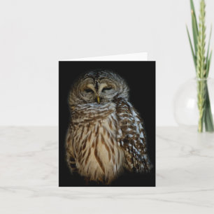 Sleepy Owl Card