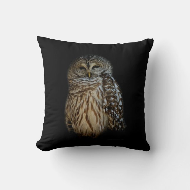 Sleepy Owl Cushion (Front)
