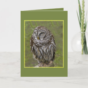 Sleepy Owl Greeting Card