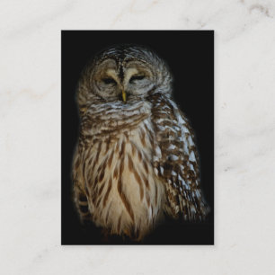 Sleepy Owl Mini Print Business Card