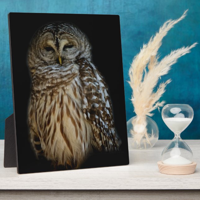 Sleepy Owl Plaque (Side)