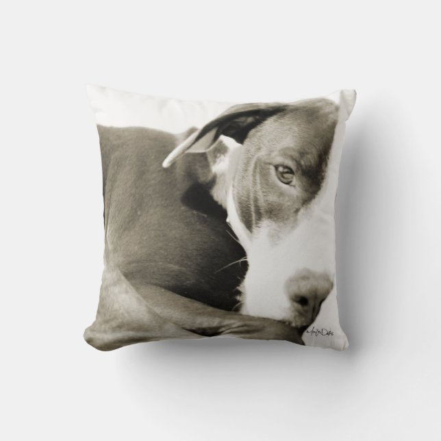 sleepy pit bull sepia photograph pillow (Front)