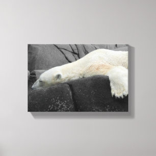 Sleepy Polar Bear Canvas Print