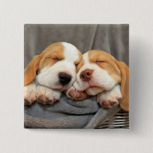 Sleepy Puppies 15 Cm Square Badge