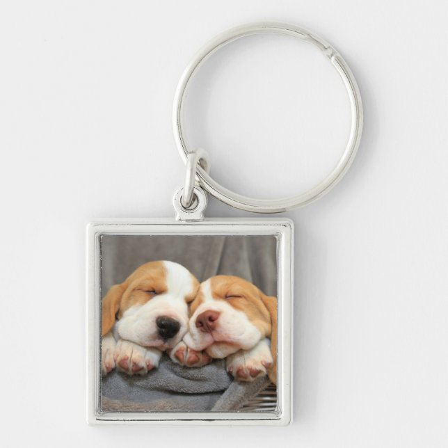 Sleepy Puppies Key Ring (Front)