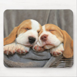 Sleepy Puppies Mouse Pad