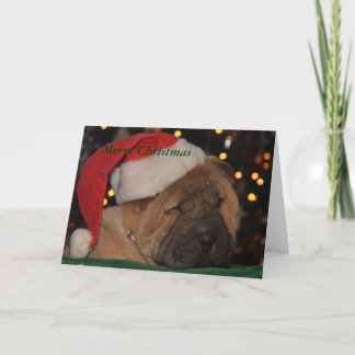 Sleepy Puppy Christmas card