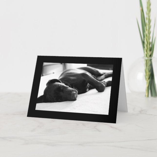 Sleepy Puppy Labrador Retriever Card (Front)