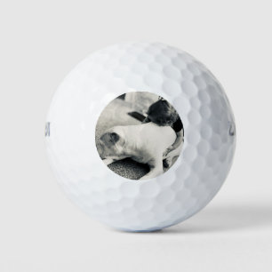 Sleepy puppy pitbull and baby cuddles golf balls