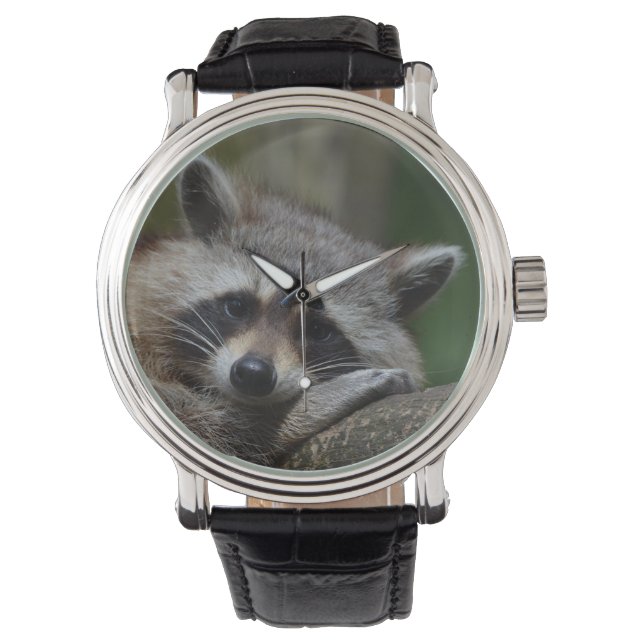Sleepy Racoon Watch (Front)