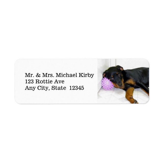 Sleepy Rottweiler Return Address Labels (Front)