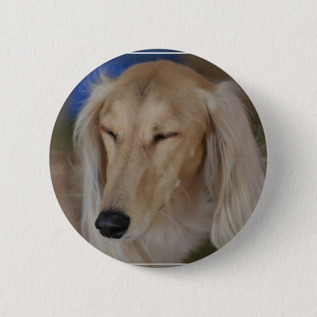 Sleepy Saluki Dog 6 Cm Round Badge (Front)