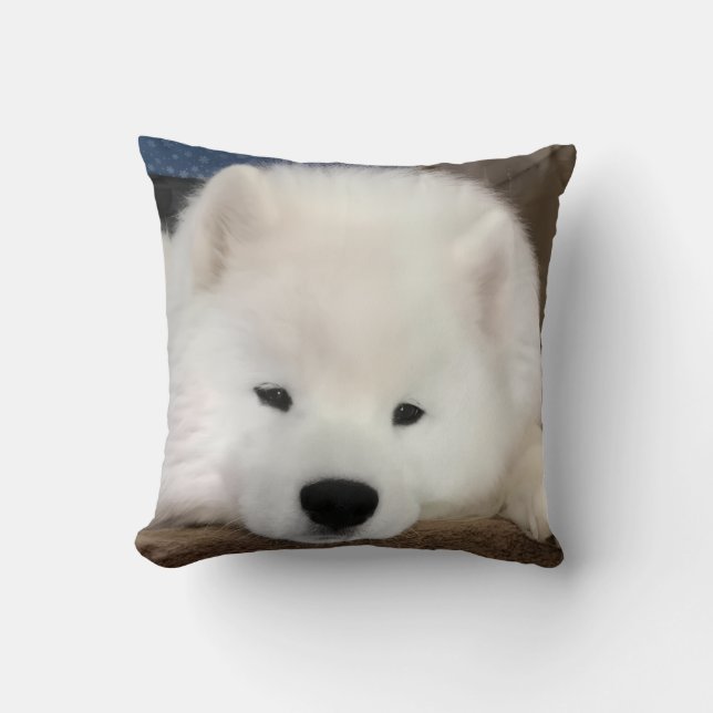 Sleepy Samoyed 16 x 16" throw pillow (Front)