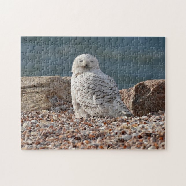 Sleepy Snowy Owl  Jigsaw Puzzle (Horizontal)