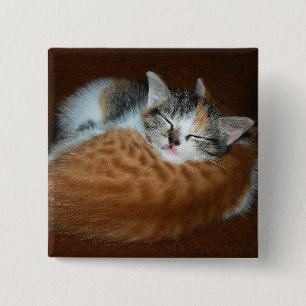 Sleepy soft kittens 15 cm square badge